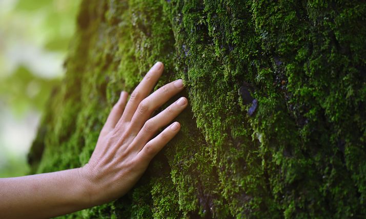 Conciencia ecológica y social